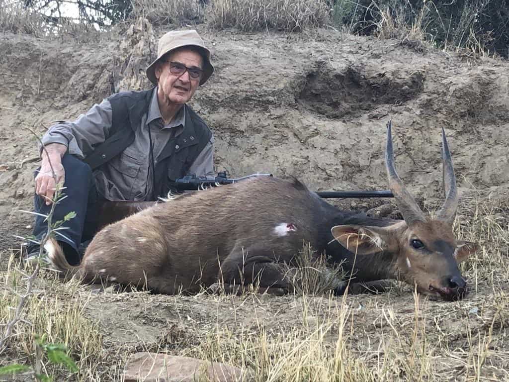 Bushbuck shot while hunting in africa.