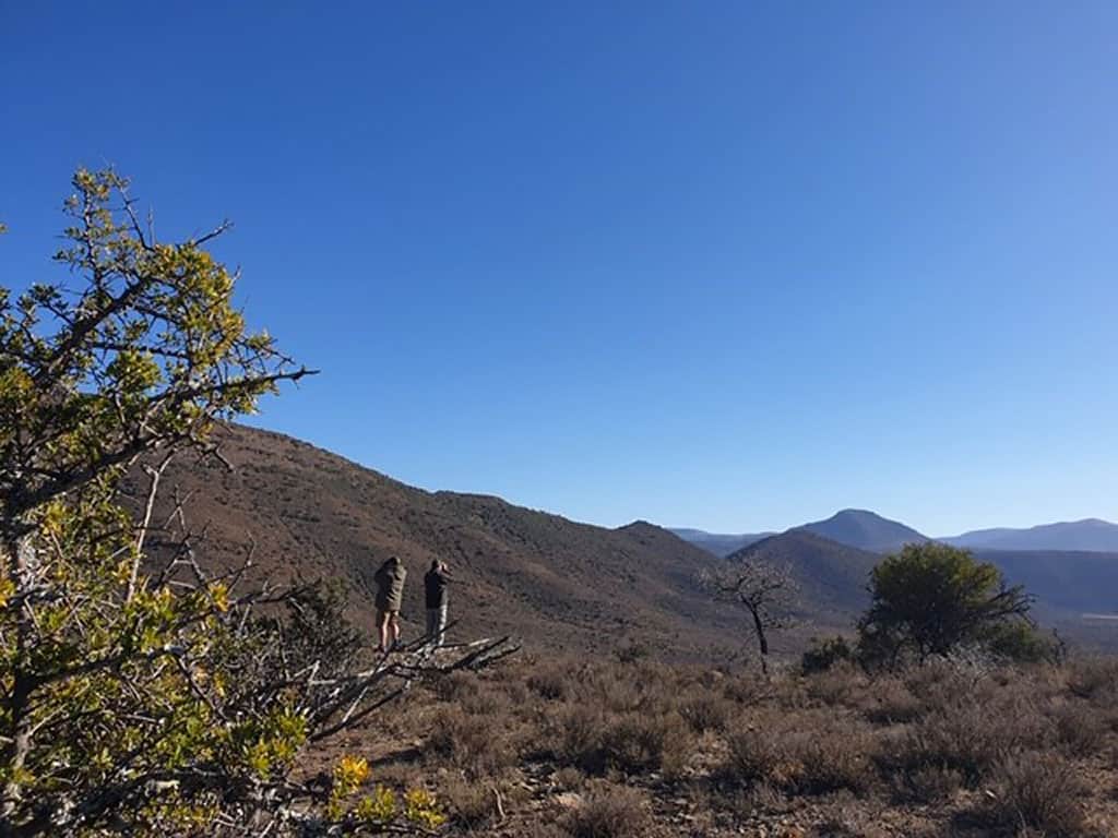 Bedford mountains