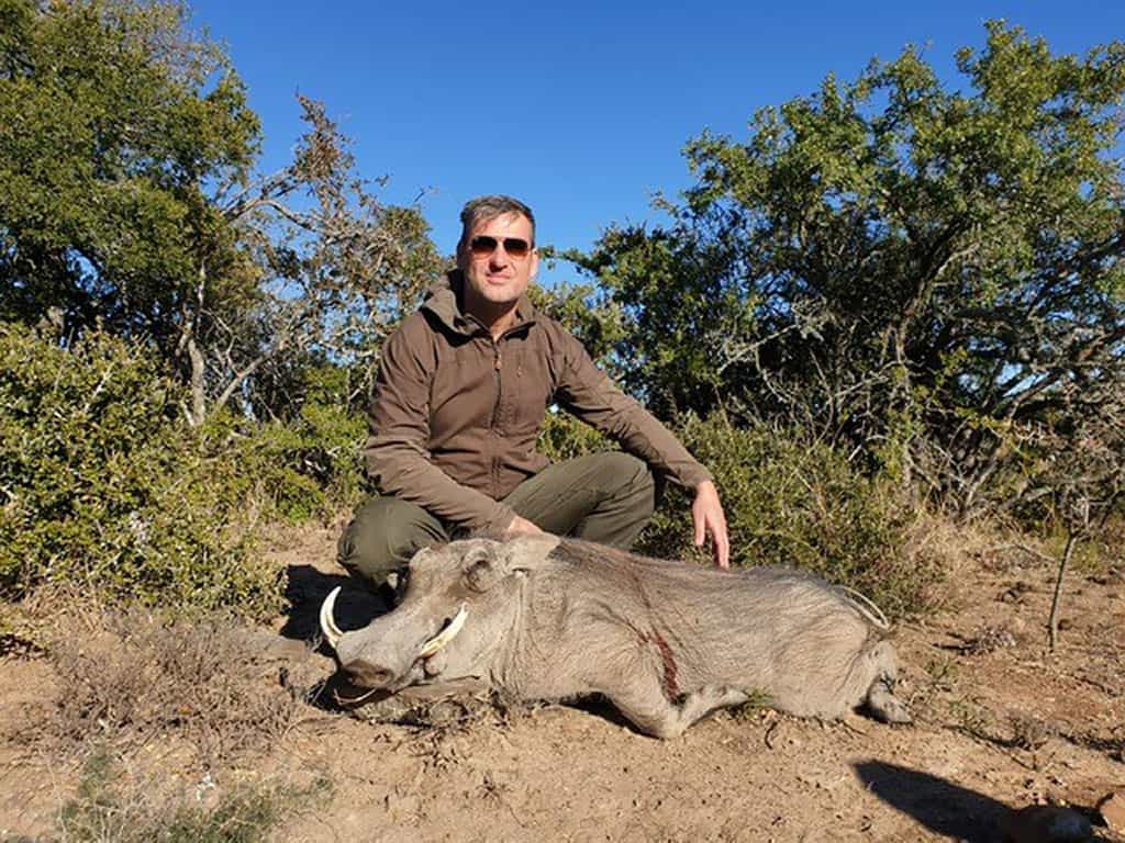 Warthog shot on our African Safari