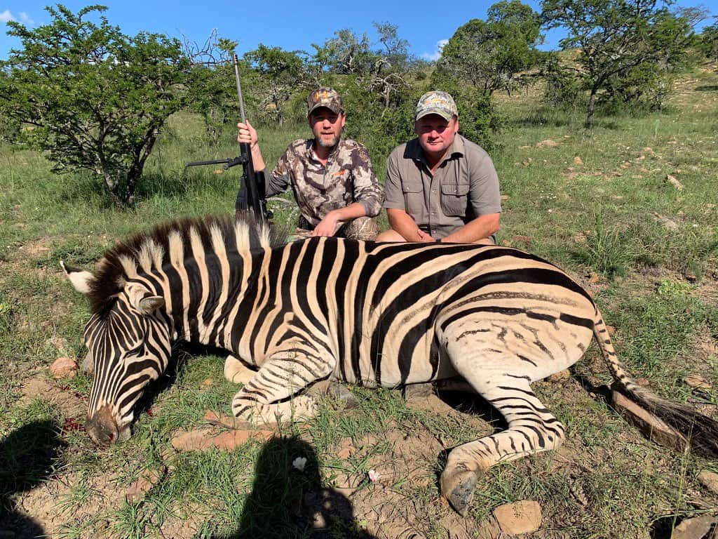 Zebra trophy take during our African hunting trip