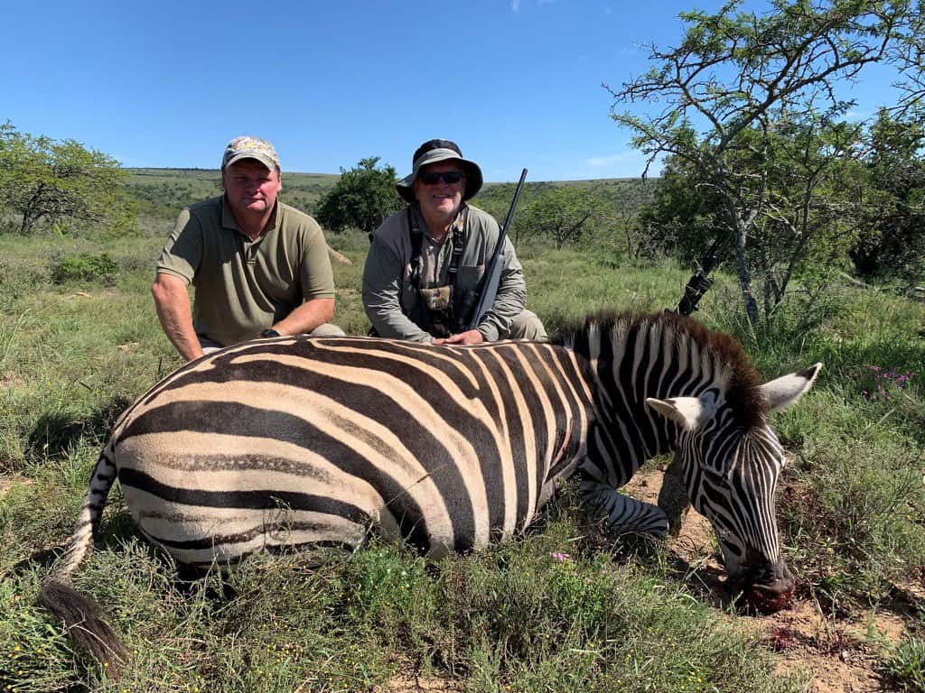 Zebra taken on our African hunting trip