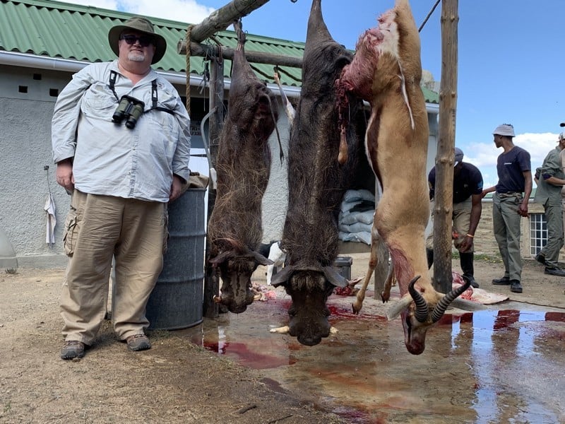 Warthog and springbok shot on an African cull hunt.