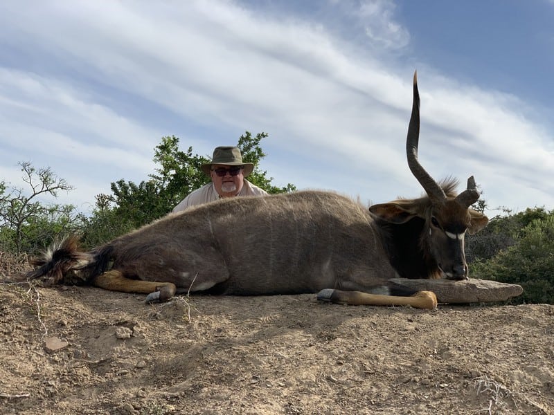 One horned Nyala