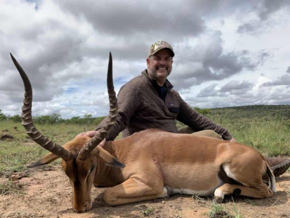 Impala low fenced African hunting