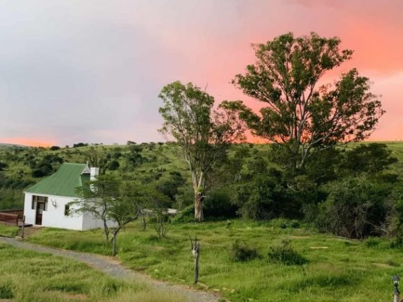 Accommodation for Hunting with Nick Bowker