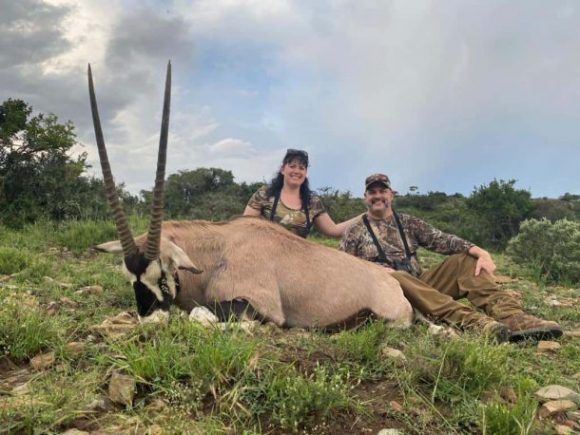 Gemsbok low fenced African Hunting