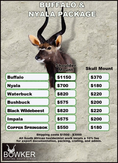 Taxidermy cost for Cape Buffalo and Nyala package.