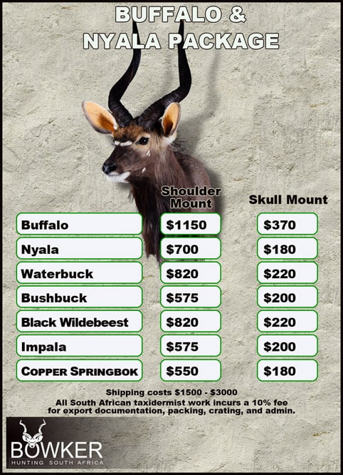 Oberst banan klik Cape Buffalo Hunting Packages and Prices - Nick Bowker (Includes Video)