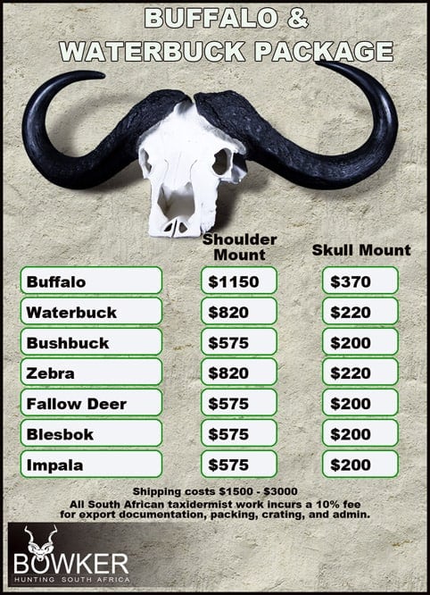 Taxidermy cost for Cape Buffalo and Waterbuck package.