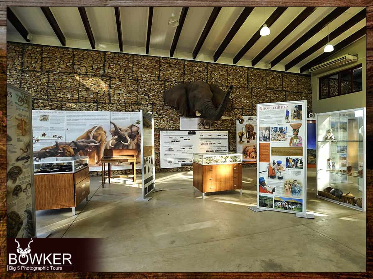 Addo Elephant Park Resource Center