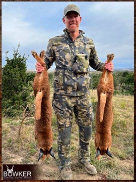 Africa caracal hunting with Nick Bowker.