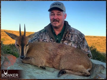 Africa grey duiker hunting with Nick Bowker.