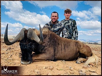 Africa hunting black wildebeest with Nick Bowker.