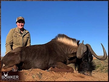 Africa black wildebeest hunting with Nick Bowker.