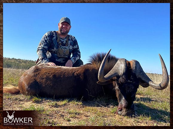 African black wildebeest hunting with Nick Bowker.