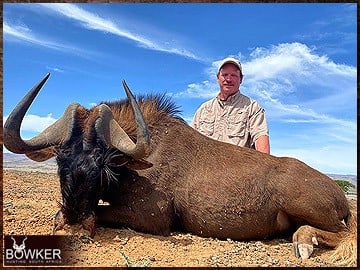 Africa hunting. Black Wildebeest hunt with Nick Bowker. 