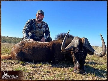 Africa black wildebeest hunting with Nick Bowker.