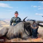 Africa Blue Wildebeest hunting with Nick Bowker.
