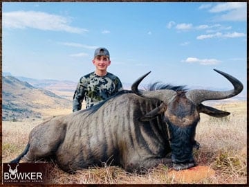 africa blue wildebeest hunting with Nick Bowker.