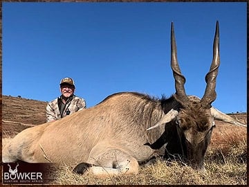 Africa hunting Eland with Nick Bowker.