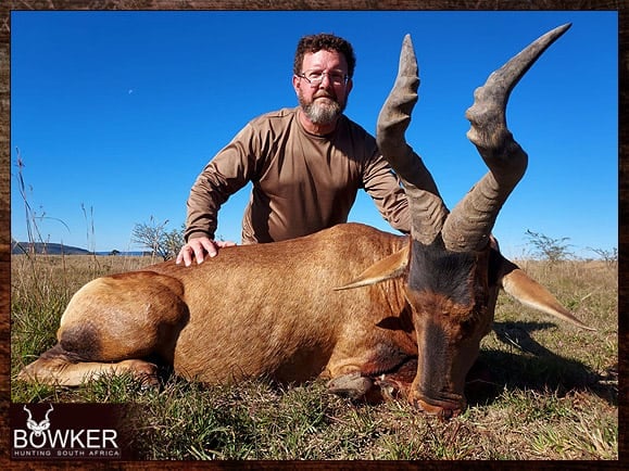 Africa hunting Red Hartebeest with Nick Bowker.