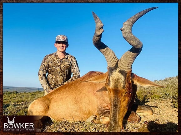 Africa hunting red hartebeest with Nick Bowker.