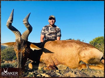 Africa red hartebeest hunting with Nick Bowker.