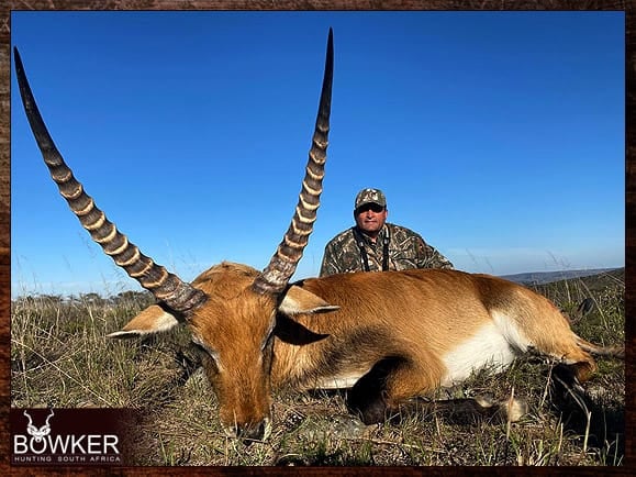 Africa red lechwe hunting with Nick Bowker.