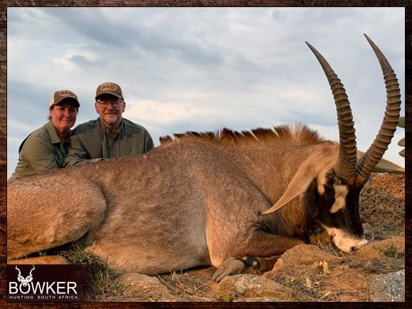 Africa roan antelope hunting with Nick Bowker.