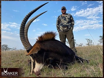 Africa sable antelope hunting with Nick Bowker