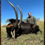 Africa sable antelope hunt in 2023.