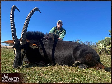 Africa hunting Sable Antelope with Nick Bowker.