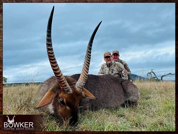 Africa hunting waterbuck with Nick Bowker.