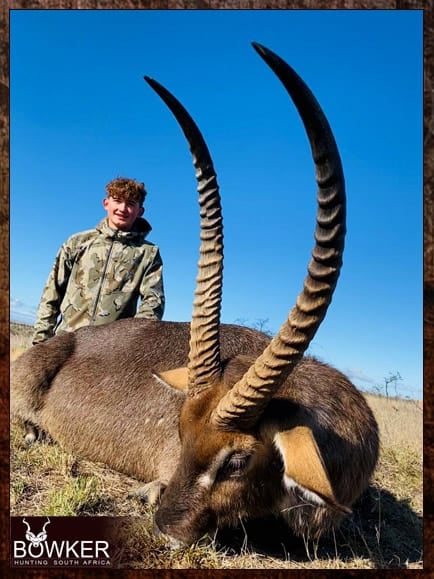 Africa waterbuck hunting with Nick Bowker.