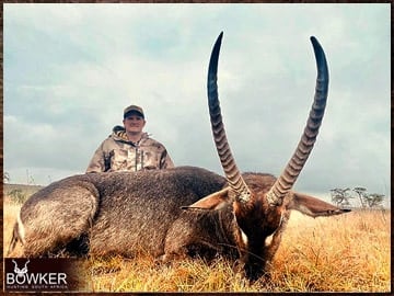 Africa hunting. Waterbuck hunt with Nick bowker.