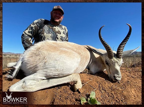 Africa white springbok hunting with Nick Bowker.