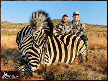 Africa Zebra hunting with Nick Bowker.