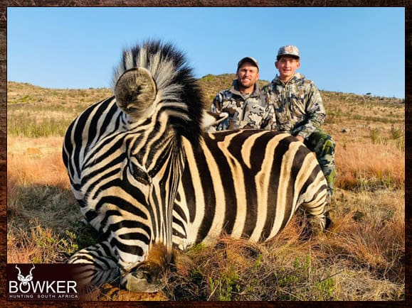 Africa Zebra  hunting with Nick Bowker.
