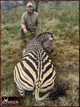 Africa hunting. Zebra hunt with Nick bowker.