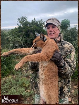 Africa Lynx hunting with Nick Bowker.