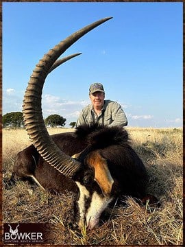 Africa Sable Antelope hunt with Nick Bowker