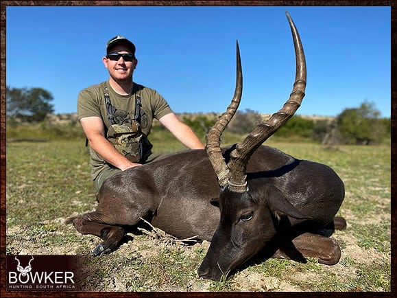 African black impala hunt.