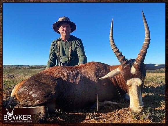 Blesbok hunting in South Africa.