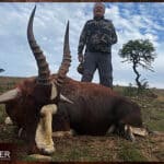 African blesbok hunt with Nick Bowker.