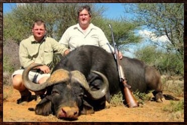 Cape Buffalo trophy shot as part of a Cape Buffalo package