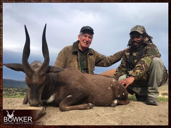 Bushbuck hunt in South Africa.