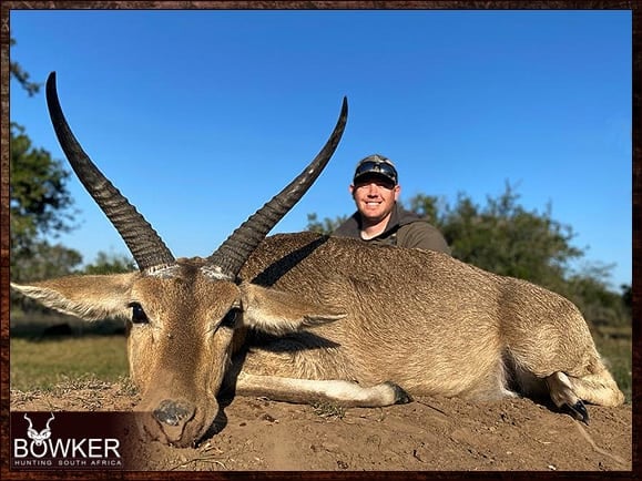 African common reedbuck hunting.