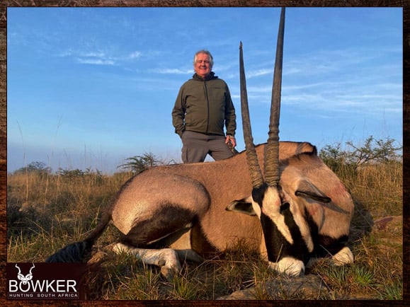 Gemsbok trophy. Widely hunted for its spectacular horns that average 33 inches in length.