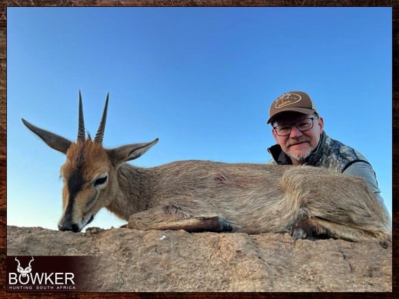 African Grey duiker hunting with Nick Bowker.