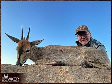 African grey duiker hunting with Nick Bowker.